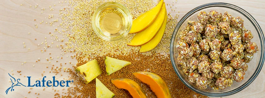 Three Blue Dogs Lafeber Tropical Fruit Nutri-Berries For Cockatiels 10oz 3 Three Blue Dogs Lafeber Tropical Fruit Nutri-Berries For Cockatiels 10oz