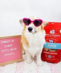 Stella And Chewy's Dandy Lamb Freeze-Dried Raw Dinner Patties