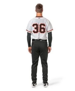 Fromm Puppy Gold Dog Food