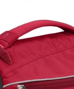 Three Blue Dogs Ruffwear SINGLETRAK™ PACK