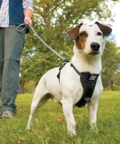 KURGO TRU-FIT SMART DOG WALKING HARNESS