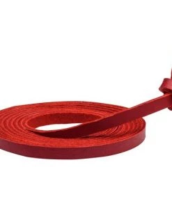 Mizuno Ball Glove Lace