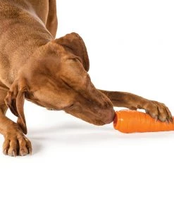 Planet Dog Carrot Three Blue Dogs