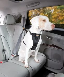 Three Blue Dogs KURGO ENHANCED STRENGTH TRU-FIT DOG CAR HARNESS