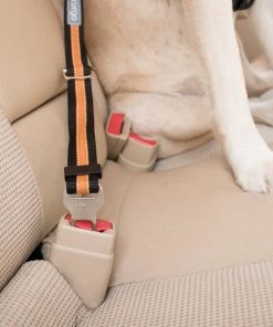 KURGO DIRECT TO SEAT BELT TETHER Three Blue Dogs
