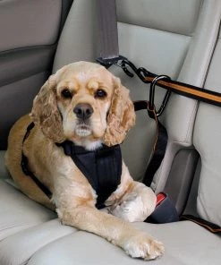 KURGO AUTO ZIP LINE FOR DOGS Three Blue Dogs