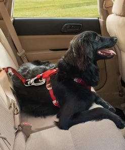 Three Blue Dogs KURGO SWIVEL TETHER