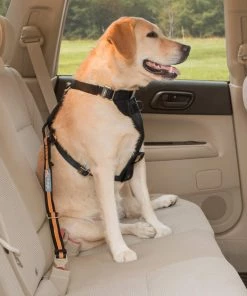 KURGO DIRECT TO SEAT BELT TETHER Three Blue Dogs