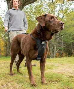 KURGO TRU-FIT SMART DOG WALKING HARNESS