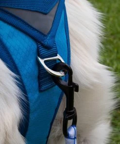 Three Blue Dogs KURGO GO-TECH ADVENTURE DOG HARNESS