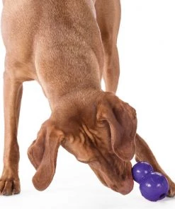 Planet Dog Double Tuff Three Blue Dogs