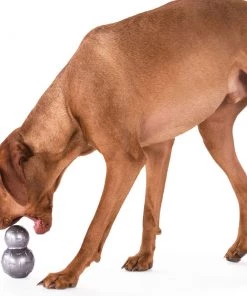 Planet Dog Double Tuff Three Blue Dogs