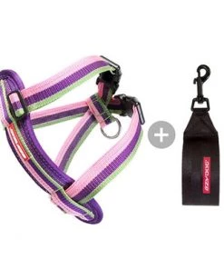 EzyDog CHEST PLATE DOG HARNESS Three Blue Dogs