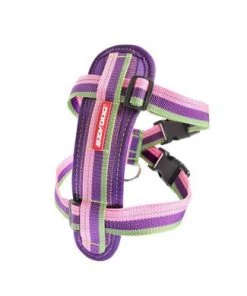 EzyDog CHEST PLATE DOG HARNESS Three Blue Dogs