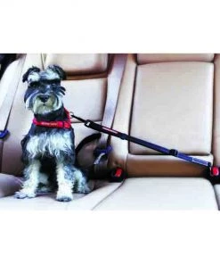 EzyDog CLICK Adjustable Car Restraint