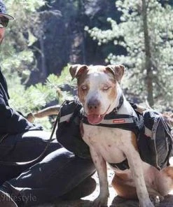 EzyDog CONVERT SADDLE BAGS