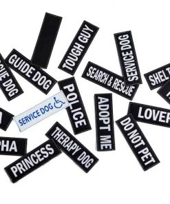 EzyDog CONVERT Side Badges Three Blue Dogs