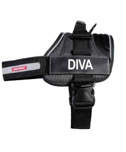 EzyDog CONVERT Side Badges Three Blue Dogs