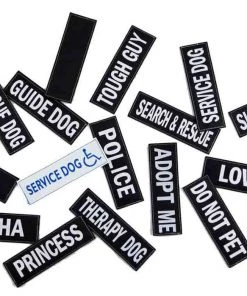 EzyDog CONVERT Side Badges Three Blue Dogs