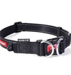 EzyDog DOUBLE UP COLLAR Three Blue Dogs