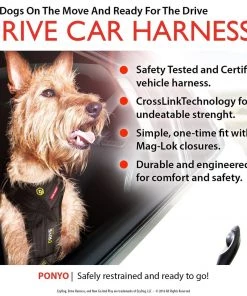 EzyDog DRIVE DOG CAR HARNESS Three Blue Dogs 11 EzyDog DRIVE DOG CAR HARNESS Three Blue Dogs