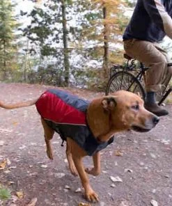 EzyDog ELEMENT JACKET Three Blue Dogs