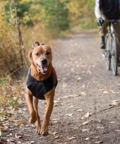 EzyDog ELEMENT JACKET Three Blue Dogs