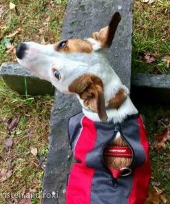 EzyDog ELEMENT JACKET Three Blue Dogs