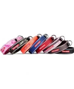 Three Blue Dogs EzyDog NEO COLLAR