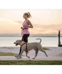 EzyDog ROAD RUNNER LEASH