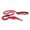 EzyDog ROAD RUNNER LEASH