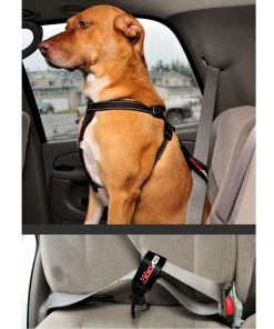 Three Blue Dogs EzyDog SEAT BELT RESTRAINT