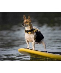 Three Blue Dogs EzyDog SMALL DOG LIFE JACKET