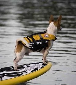 Three Blue Dogs EzyDog SMALL DOG LIFE JACKET