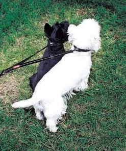 EzyDog SOFT TOUCH COUPLER LITE