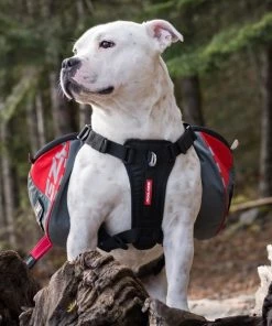 EzyDog SUMMIT DOG BACKPACK