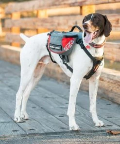 EzyDog SUMMIT DOG BACKPACK