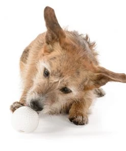 Three Blue Dogs Planet Dog Golf Ball