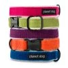 Three Blue Dogs Planet Dog Hemp Collar