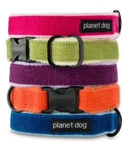 Three Blue Dogs Planet Dog Hemp Collar