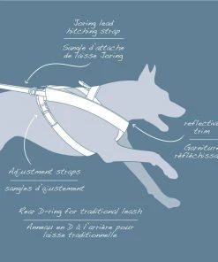 KURGO LONG HAULER CRADLE BACK HARNESS Three Blue Dogs 5 KURGO LONG HAULER CRADLE BACK HARNESS Three Blue Dogs