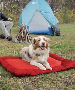 Three Blue Dogs KURGO LOFT WANDER DOG BED