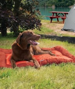 Three Blue Dogs KURGO LOFT WANDER DOG BED