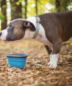 KURGO MASH N STASH COLLAPSIBLE DOG BOWL