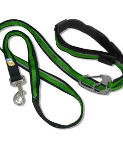 KURGO QUANTUM LEASH