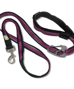 KURGO QUANTUM LEASH