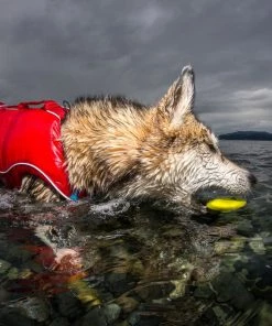 KURGO SKIPPING STONES