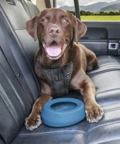 Three Blue Dogs KURGO SPLASH FREE WANDER DOG WATER BOWL