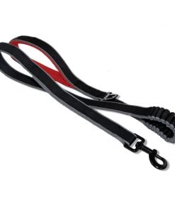 KURGO SPRINGBACK DOG LEASH - 48" HIKING AND RUNNING LEASH Three Blue Dogs