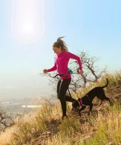 KURGO SPRINGBACK LITE DOG LEASH - 30" RUNNING LEASH Three Blue Dogs